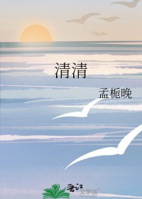 清清账明小说
