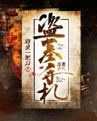 盗墓手札全文免费听